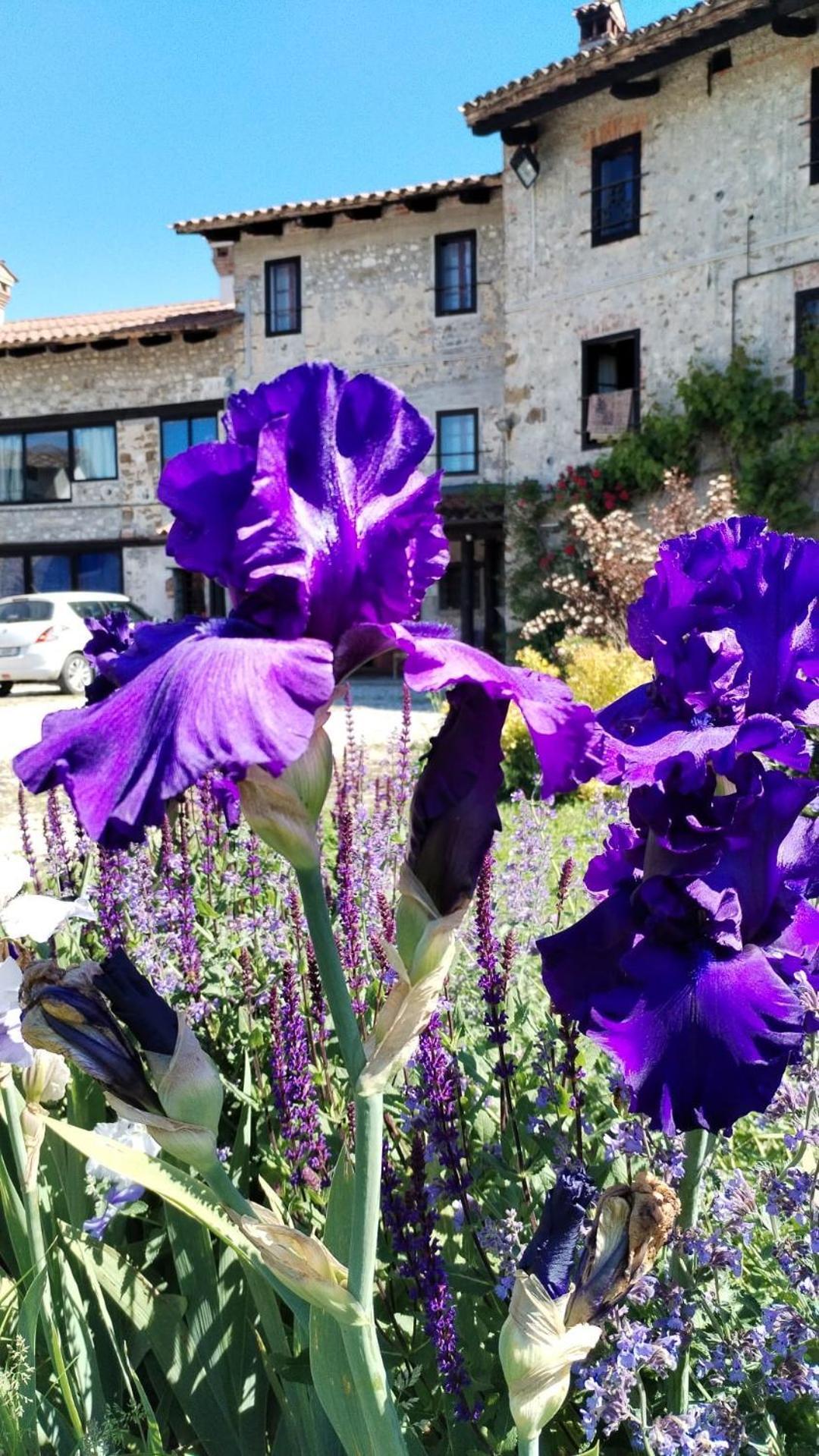 Al Rol Country house *